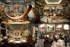 13 Chateau Lake Louise Shops.jpg